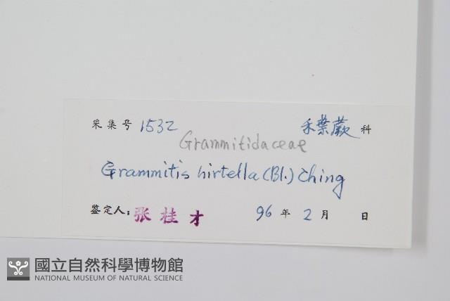 登錄號:P005017藏品圖，第2張