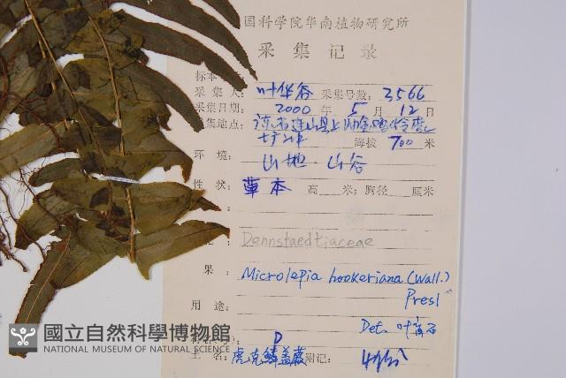 Accession Number:P008717 Collection Image, Figure 2, Total 5 Figures