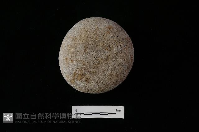 石鎚藏品圖，第1張