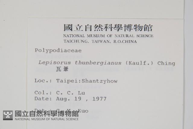 瓦葦藏品圖，第2張