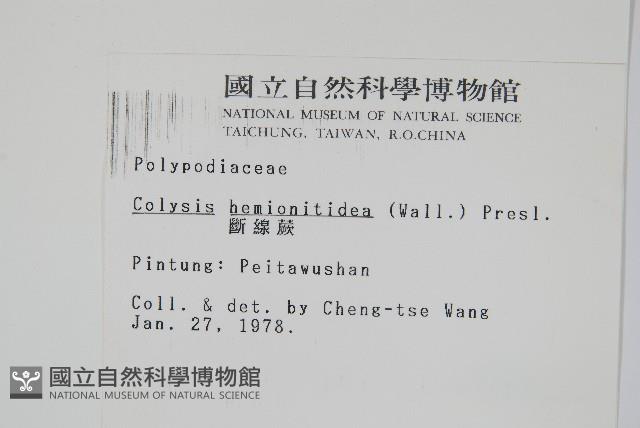 Accession Number:P001617 Collection Image, Figure 2, Total 2 Figures