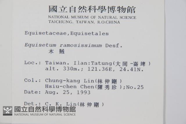 木賊藏品圖，第2張