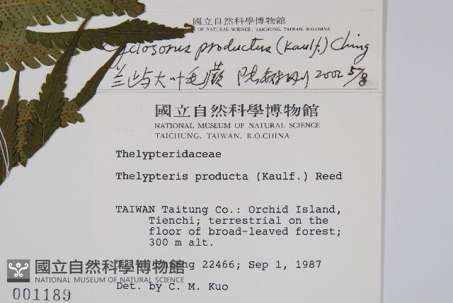 Accession Number:P000957 Collection Image, Figure 2, Total 2 Figures