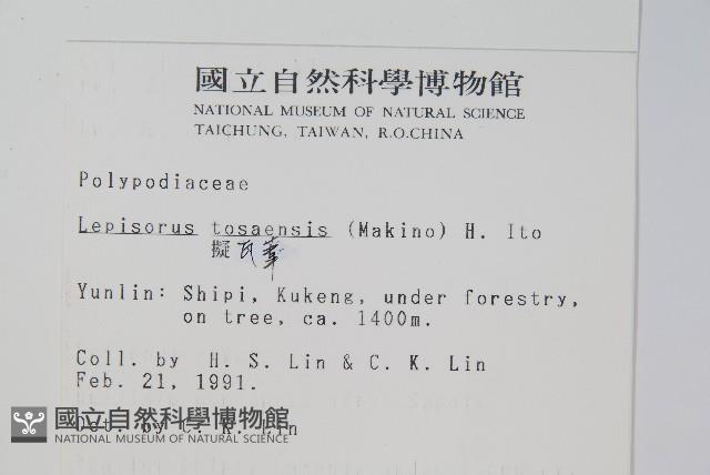 擬瓦葦藏品圖，第2張