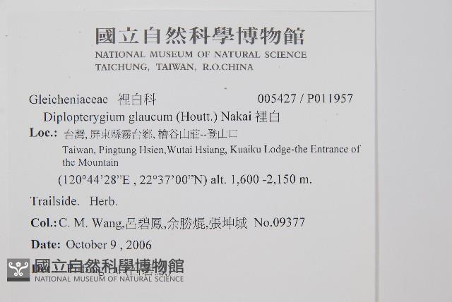 裡白藏品圖，第2張
