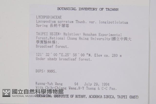 長柄千層塔藏品圖，第2張