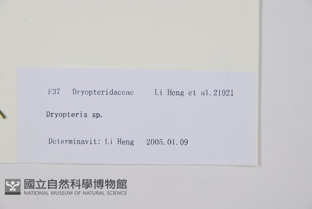 登錄號:P010757藏品圖，第2張