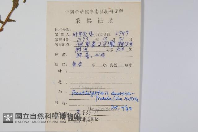 Accession Number:P009057 Collection Image, Figure 2, Total 2 Figures