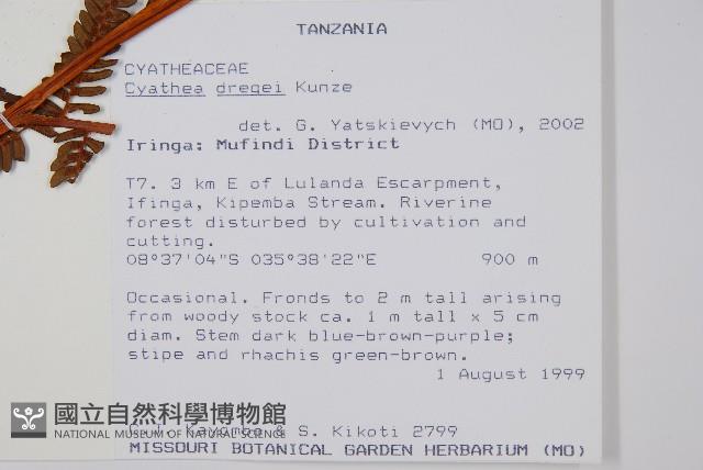 登錄號:P010057藏品圖，第2張