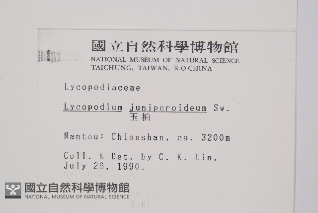 玉柏藏品圖，第2張