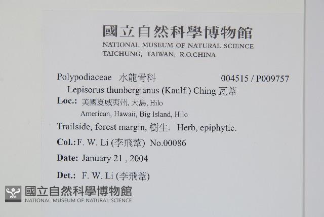 瓦葦藏品圖，第2張