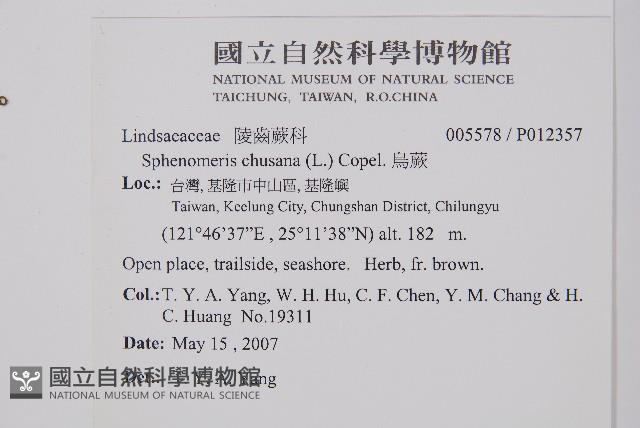 烏蕨藏品圖，第2張