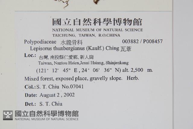 Accession Number:P008457 Collection Image, Figure 2, Total 2 Figures