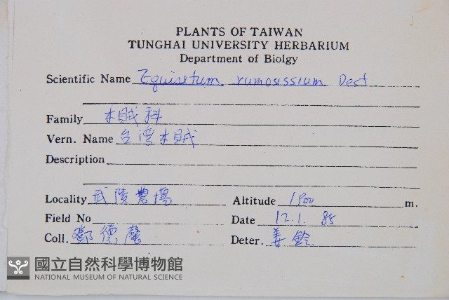 木賊藏品圖，第2張