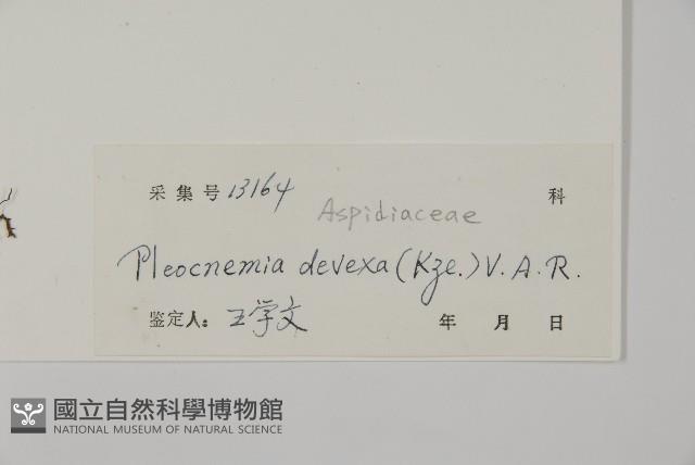 登錄號:P005457藏品圖，第2張