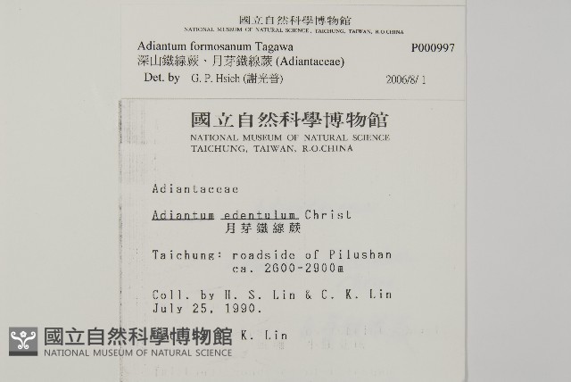 深山鐵線蕨、月芽鐵線蕨藏品圖，第2張