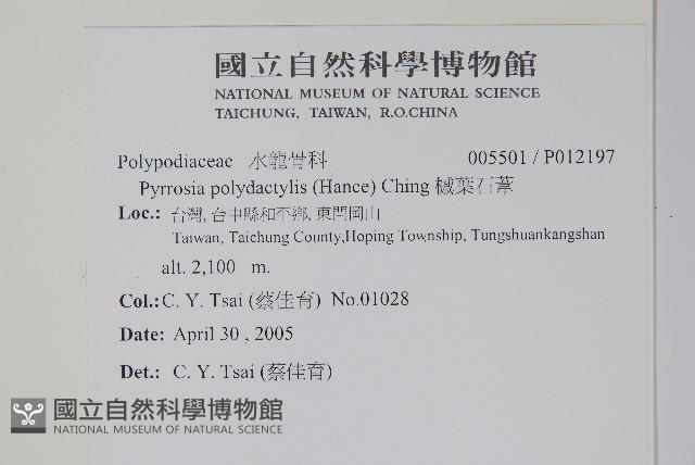 Accession Number:P012197 Collection Image, Figure 2, Total 2 Figures