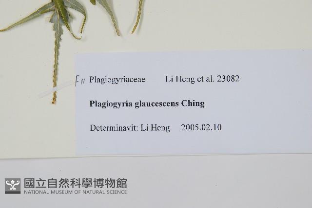 登錄號:P010797藏品圖，第2張