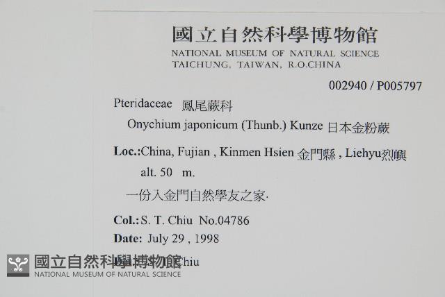 日本金粉蕨藏品圖，第2張