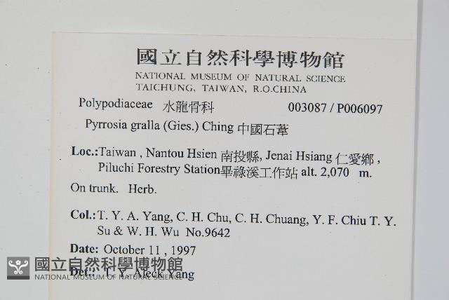 中國石葦藏品圖，第2張