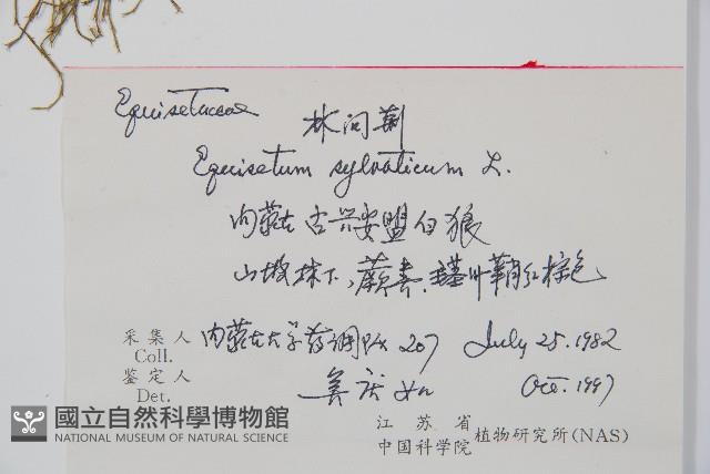 Accession Number:P006397 Collection Image