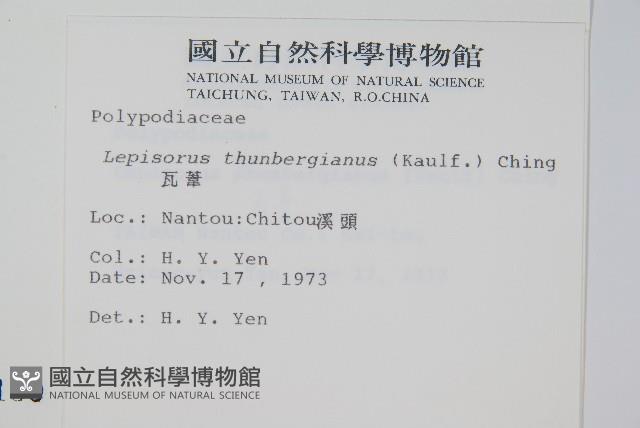 瓦葦藏品圖，第2張