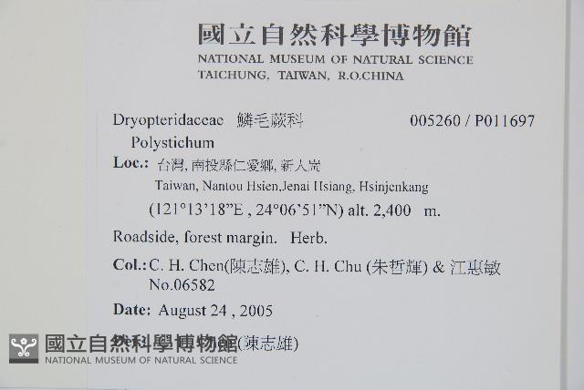 岩蕨藏品圖，第2張