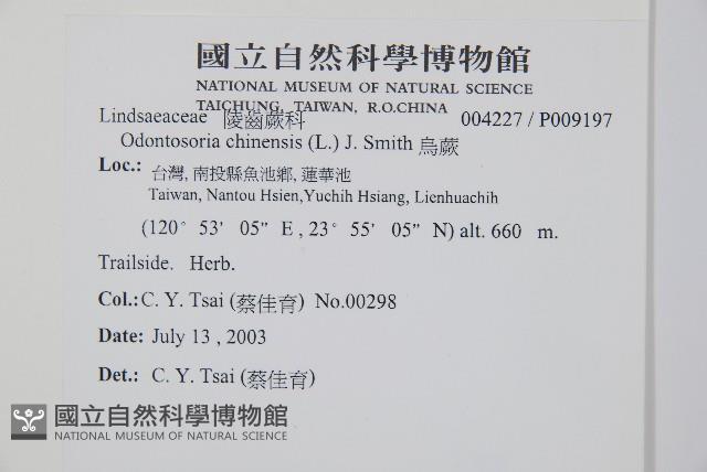 烏蕨藏品圖，第2張