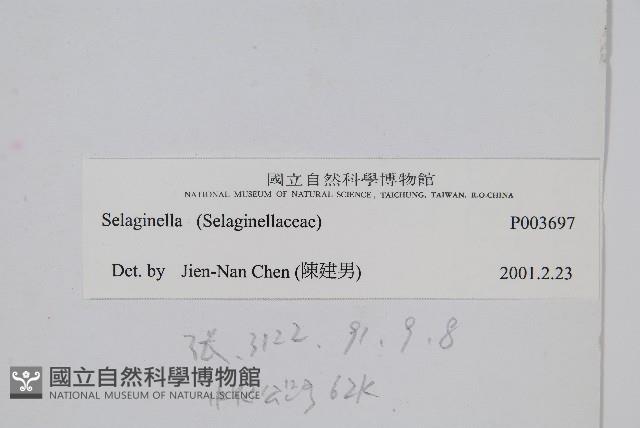 登錄號:P003697藏品圖，第2張