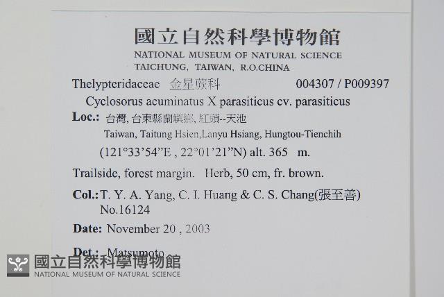 登錄號:P009397藏品圖，第2張