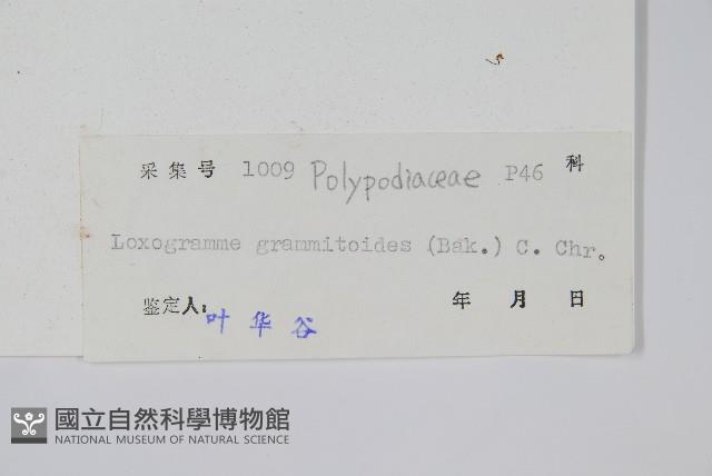 Accession Number:P005137 Collection Image, Figure 2, Total 2 Figures