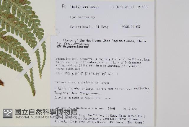 登錄號:P010737藏品圖，第2張