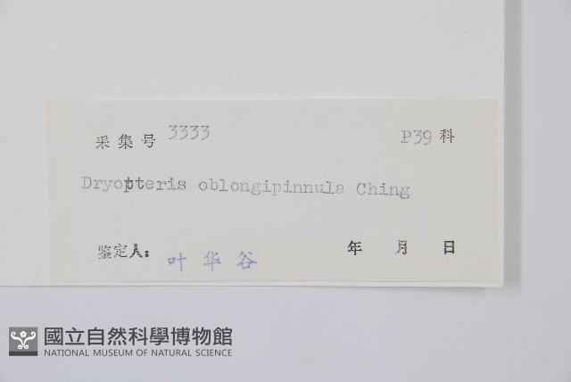 登錄號:P004737藏品圖，第2張