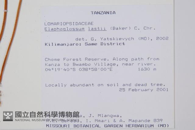 登錄號:P010037藏品圖，第2張