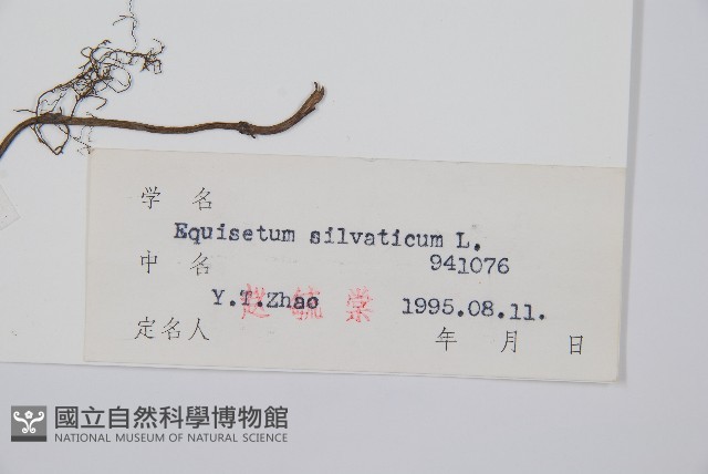 登錄號:P004037藏品圖，第2張