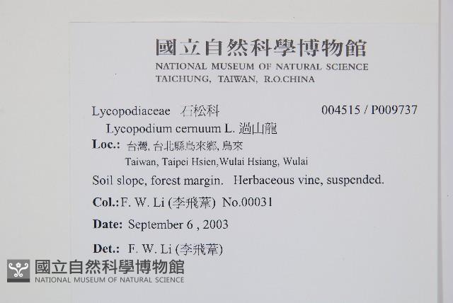 過山龍藏品圖，第2張