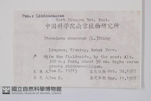 烏蕨藏品圖，第2張