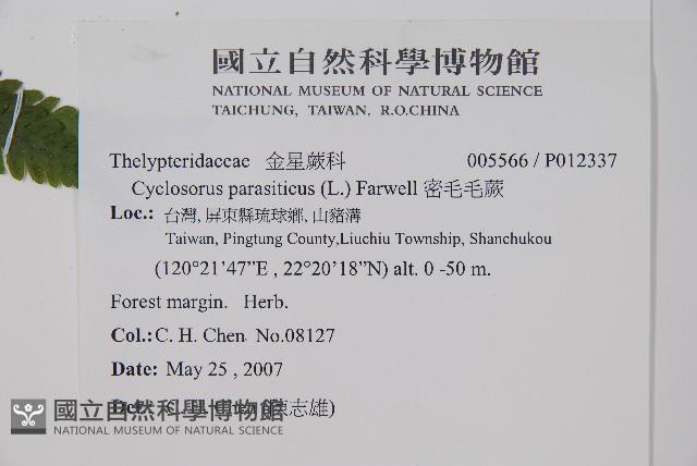 Accession Number:P012337 Collection Image, Figure 2, Total 2 Figures