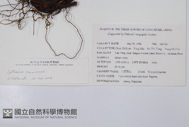 登錄號:P005637藏品圖，第2張