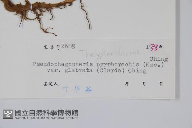 登錄號:P004637藏品圖，第2張