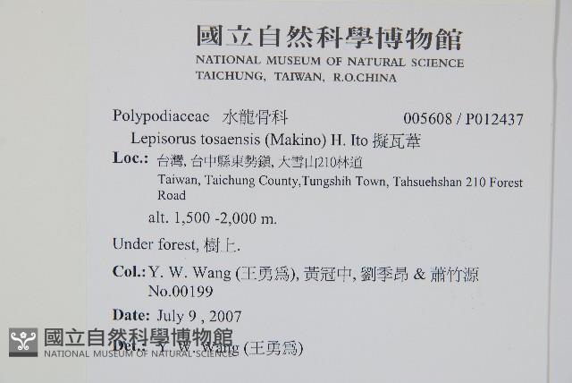 粵瓦葦藏品圖，第2張