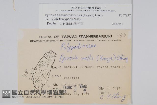 盧山石葦藏品圖，第2張