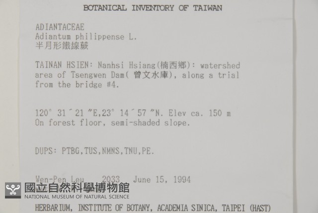 半月形鐵線蕨藏品圖，第2張