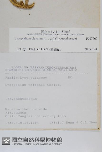 石松藏品圖，第2張