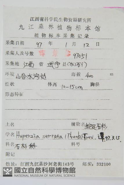 蛇足石杉、千層塔藏品圖，第2張