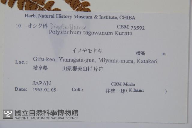 登錄號:P011067藏品圖，第2張