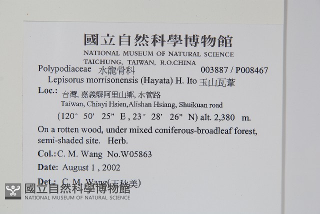 麟瓦葦、川上氏瓦葦藏品圖，第2張
