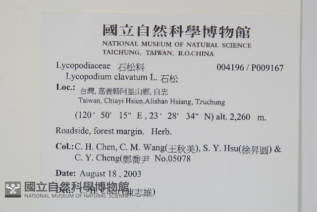 石松藏品圖，第2張