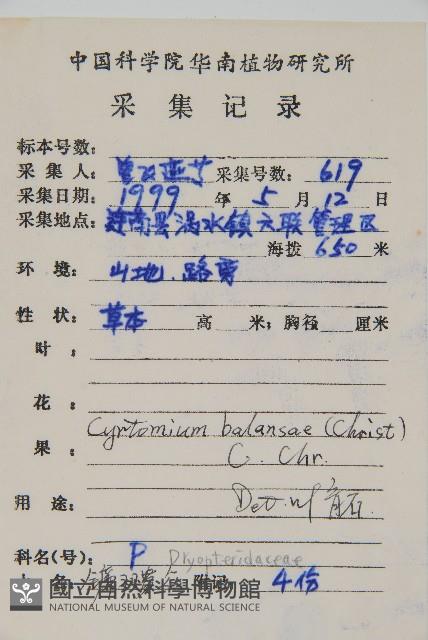 鐮羽貫眾藏品圖，第2張