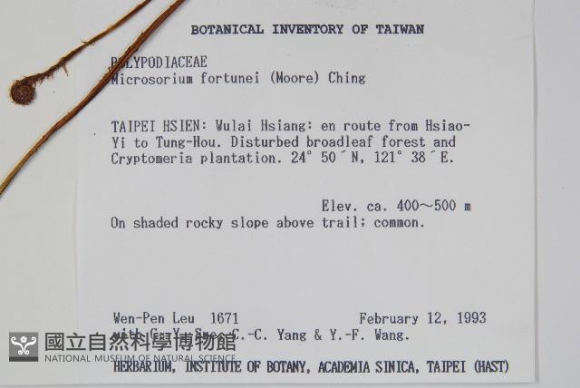 Accession Number:P002947 Collection Image, Figure 2, Total 2 Figures